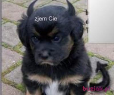 Damian, Mężczyzna, 34, Wołomin, Polska, Zdjęcie: 10