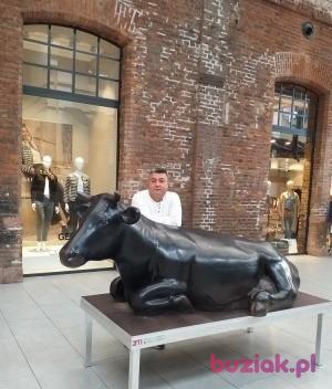 Pawel, Mężczyzna, 48, Berlin, Niemcy, Zdjęcie: 2