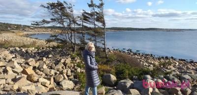 Maria, Kobieta, 69, Łódź, Polska, Zdjęcie: 2
