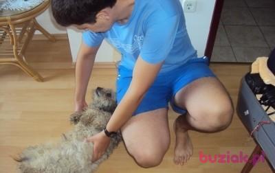 Jacek, Mężczyzna, 41, Gliwice, Polska, Zdjęcie: 5