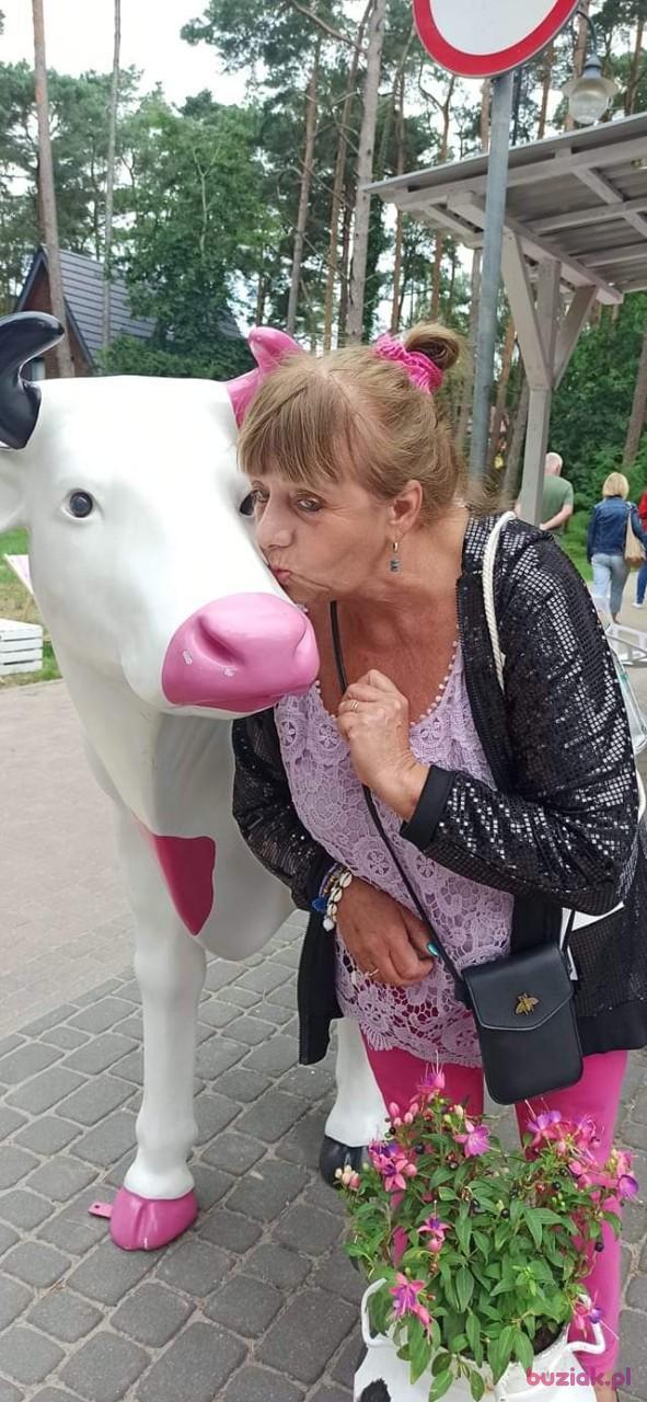 Krynia, Kobieta, 66, Jawor, Polska, Zdjęcie: 8