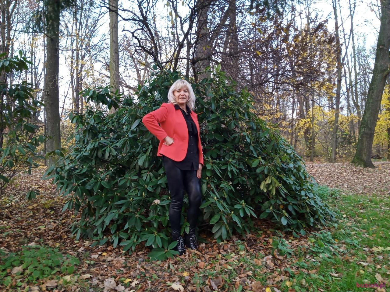 Ulcia, Kobieta, 64, Bielsko-Biała, Polska, Zdjęcie: 14
