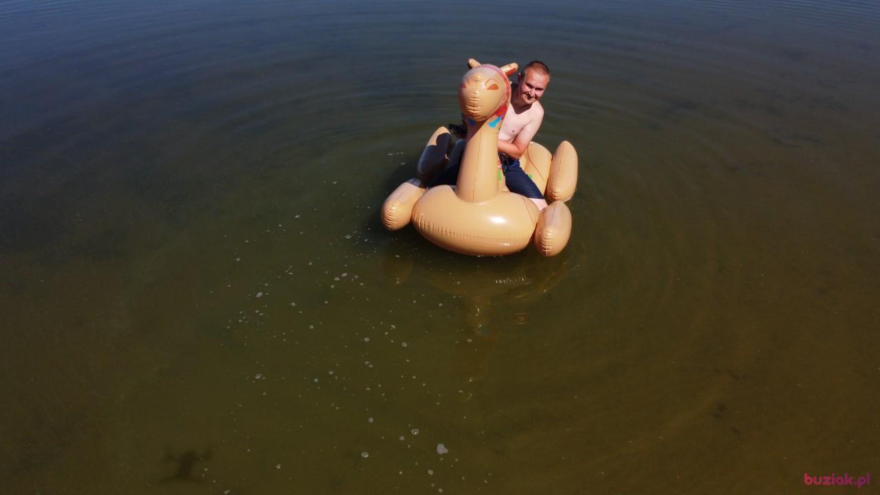 Michał, Male, 37, Zgierz, Polska, Photo: 466