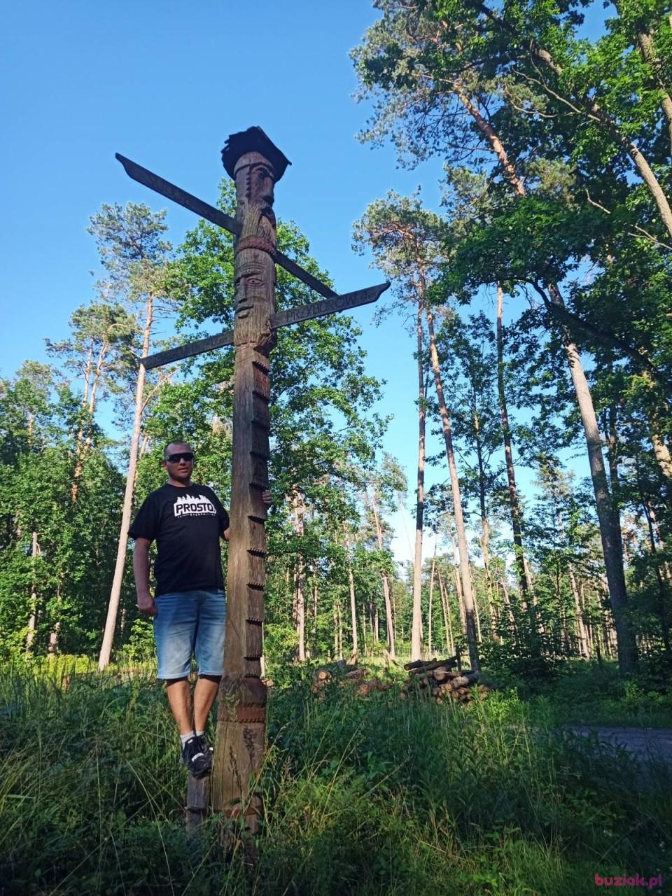 Kamil, Male, 41, Ostrowiec Swiętokrzyski, Polska, Photo: 4