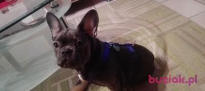 Szymon, Mężczyzna, 46, Niemcy, Zdjęcie: 5