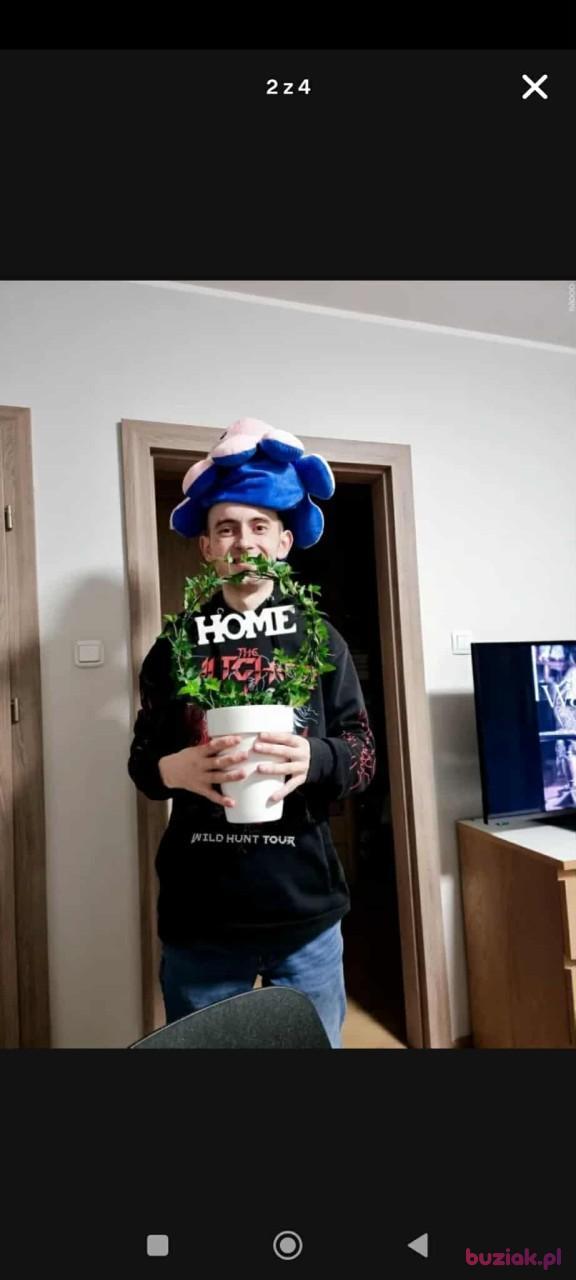 Rafał, Mężczyzna, 33, Skierniewice, Polska, Zdjęcie: 7