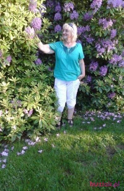 sara20, Kobieta, 64, Świebodzice, Polska, Zdjęcie: 5