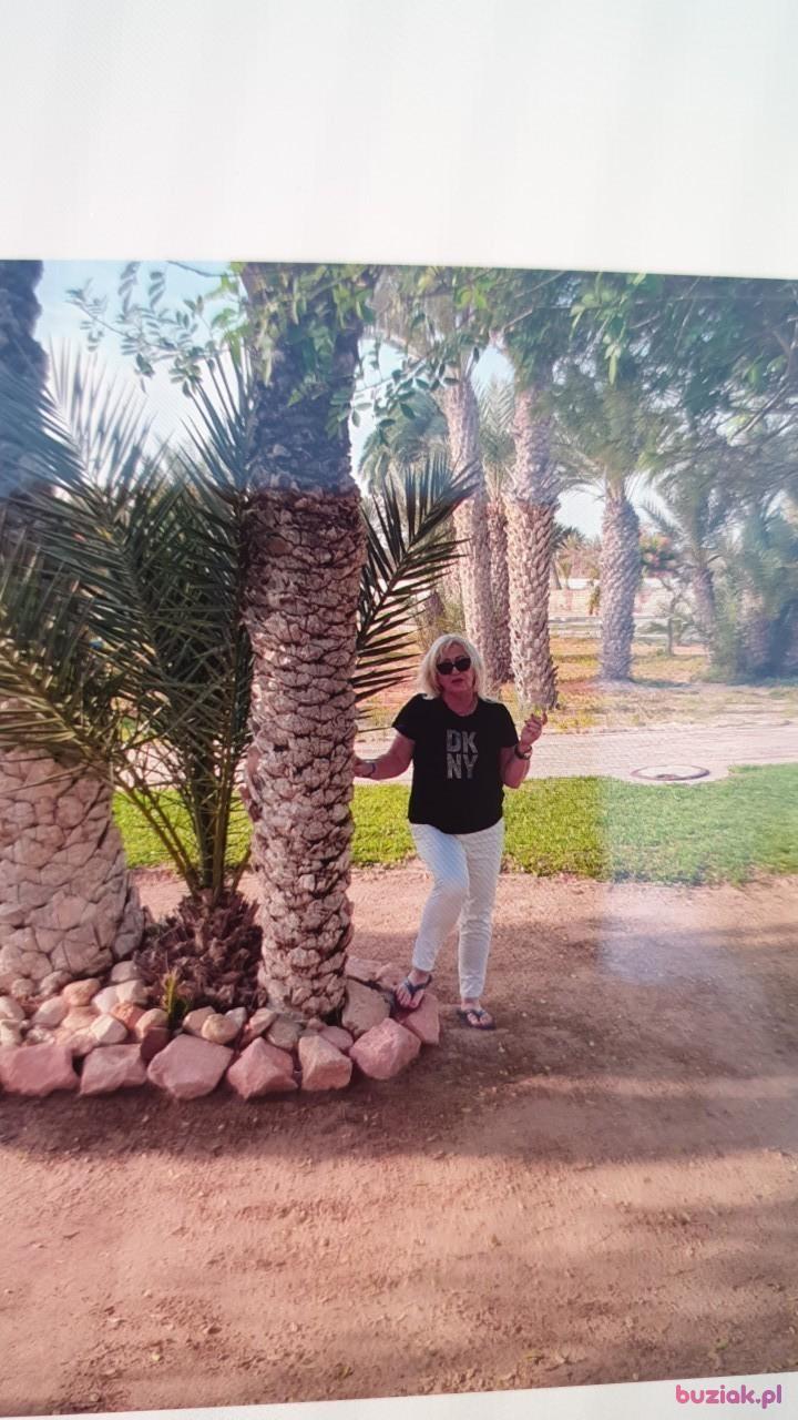 Laiki, Female, 62, Zielona Góra, Polska, Photo: 3
