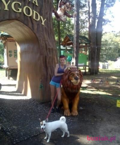 Urszula, Kobieta, 42, Białystok, Polska, Zdjęcie: 3