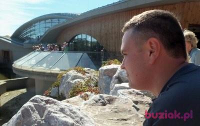 Maciej91, Mężczyzna, 35, Poznań, Polska, Zdjęcie: 2