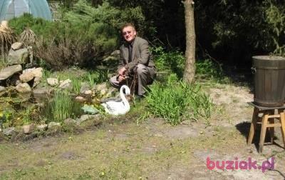 jerry7, Mężczyzna, 65, Gąbin, Polska, Zdjęcie: 3