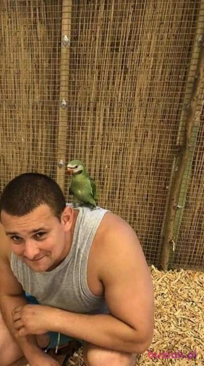 Jaroslaw, Mężczyzna, 44, Grodzisk Mazowiecki, Polska, Zdjęcie: 3