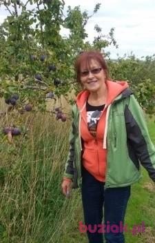 Maria , Kobieta, 74, Lublin, Polska, Zdjęcie: 5