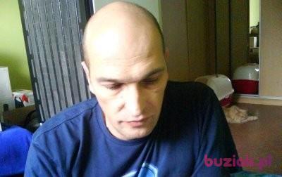 Jarek, Mężczyzna, 61, Bydgoszcz, Polska, Zdjęcie: 2