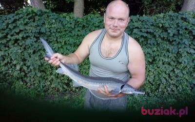Dawid, Mężczyzna, 34, Grabów nad Prosną, Polska, Zdjęcie: 2