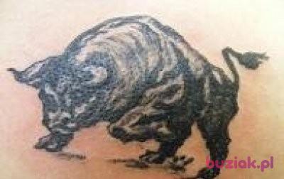 WOJTEK, Mężczyzna, 45, Pszczyna, Polska, Zdjęcie: 3