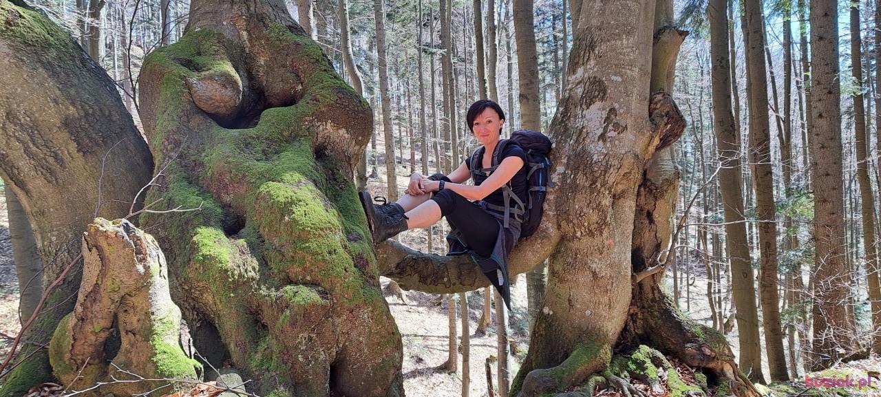 Kat, Kobieta, 46, Wodzisław Śląski, Polska, Zdjęcie: 2