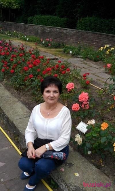 Bożena, Kobieta, 70, Gliwice, Polska, Zdjęcie: 2