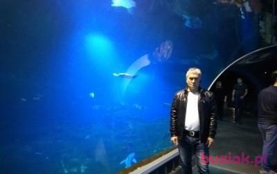 Wojciech, Mężczyzna, 63, Warszawa, Polska, Zdjęcie: 3