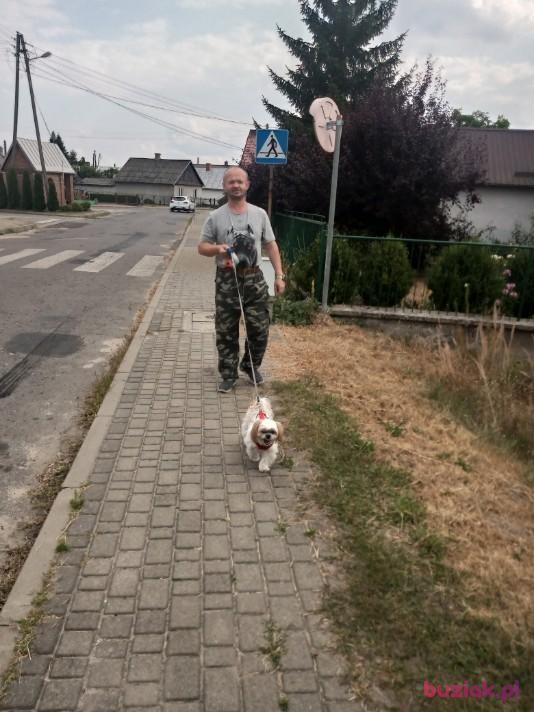 JACEK, Mężczyzna, 53, Wrocław, Polska, Zdjęcie: 5