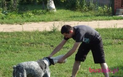 Łukasz, Mężczyzna, 42, Katowice, Polska, Zdjęcie: 2