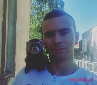 Sebastian, Mężczyzna, 33, Stęszew, Polska, Zdjęcie: 2
