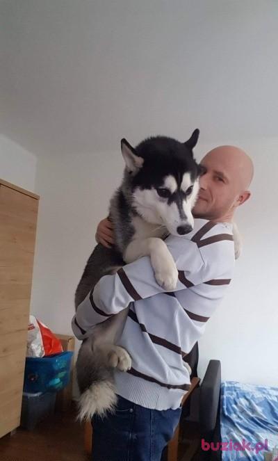Wilczek81, Mężczyzna, 44, Katowice, Polska, Zdjęcie: 4