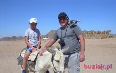 Zbyszek, Mężczyzna, 53, Węgorzewo, Polska, Zdjęcie: 2