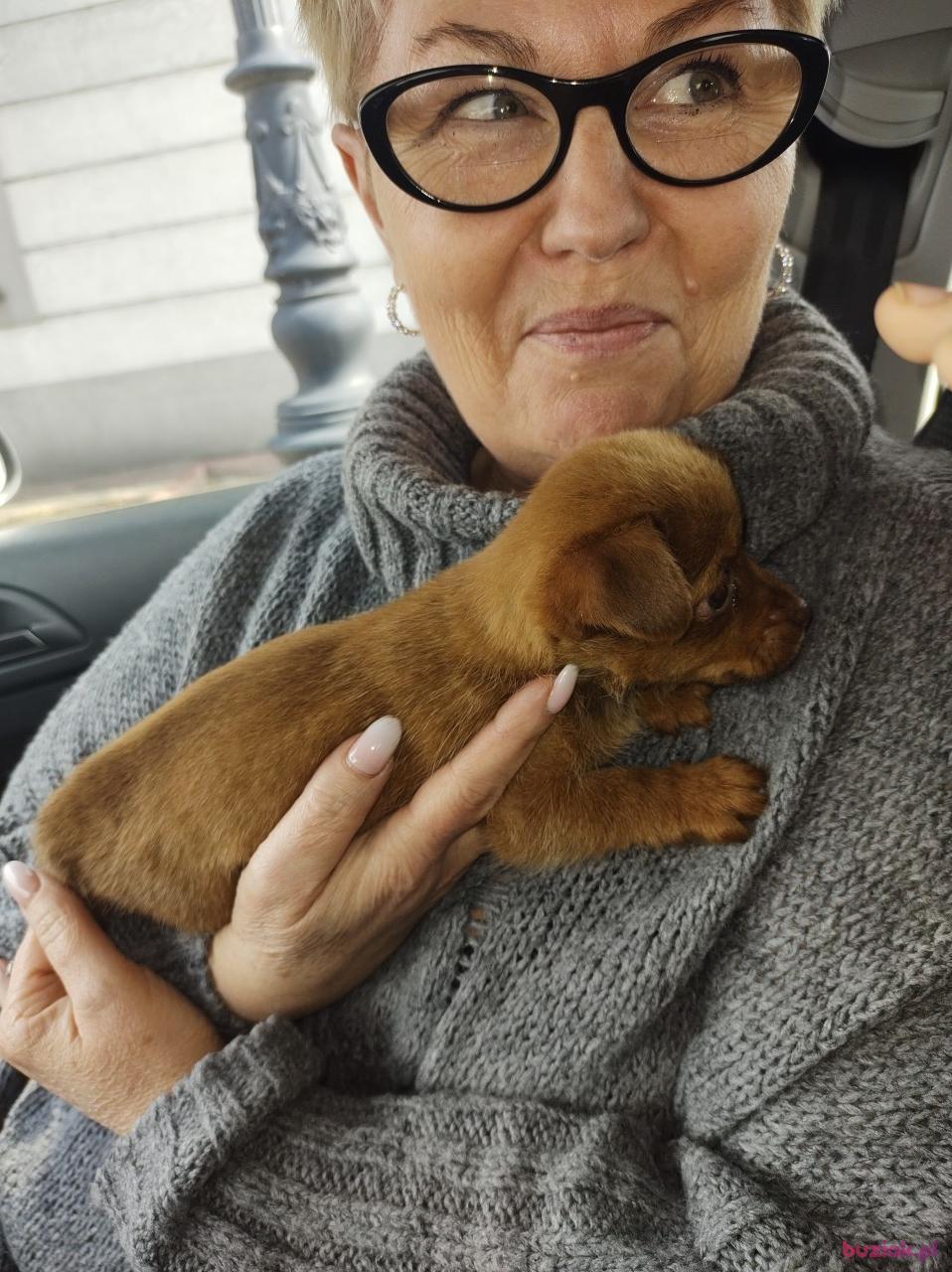 Kasia, Female, 55, Włocławek, Polska, Photo: 1