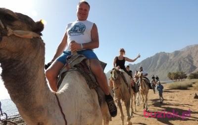 Bogdan, Mężczyzna, 61, Austria, Zdjęcie: 8