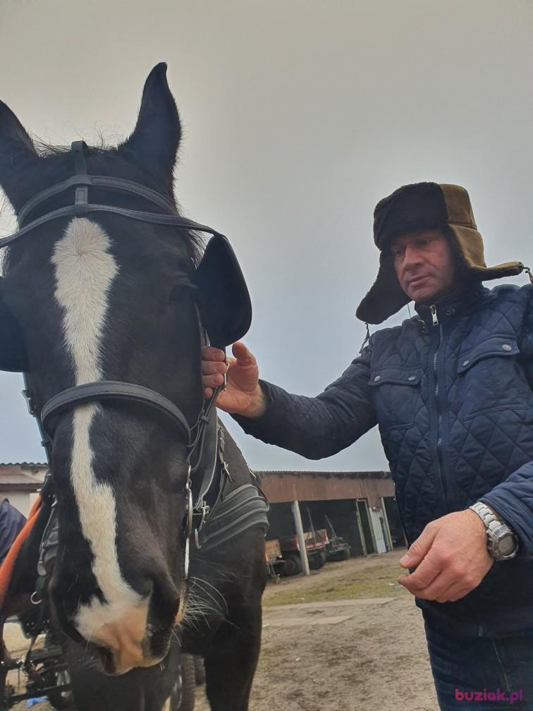 Przemysław, Mężczyzna, 52, Bełchatów, Polska, Zdjęcie: 4