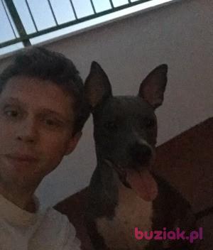 Sebastian , Mężczyzna, 40, Hiszpania, Zdjęcie: 2