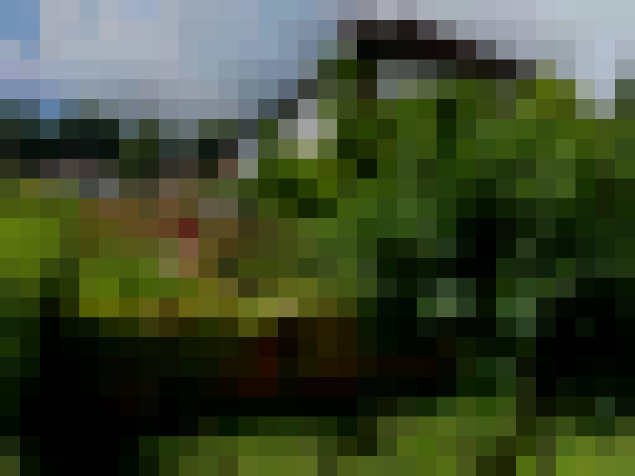Mac, Male, 52, Westminster, Wielka Brytania, Photo: 8