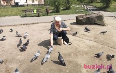 Maria, Female, 73, Skarżysko-Kamienna, Polska, Photo: 8