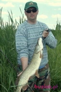 Darek, Mężczyzna, 56, Warszawa, Polska, Zdjęcie: 2