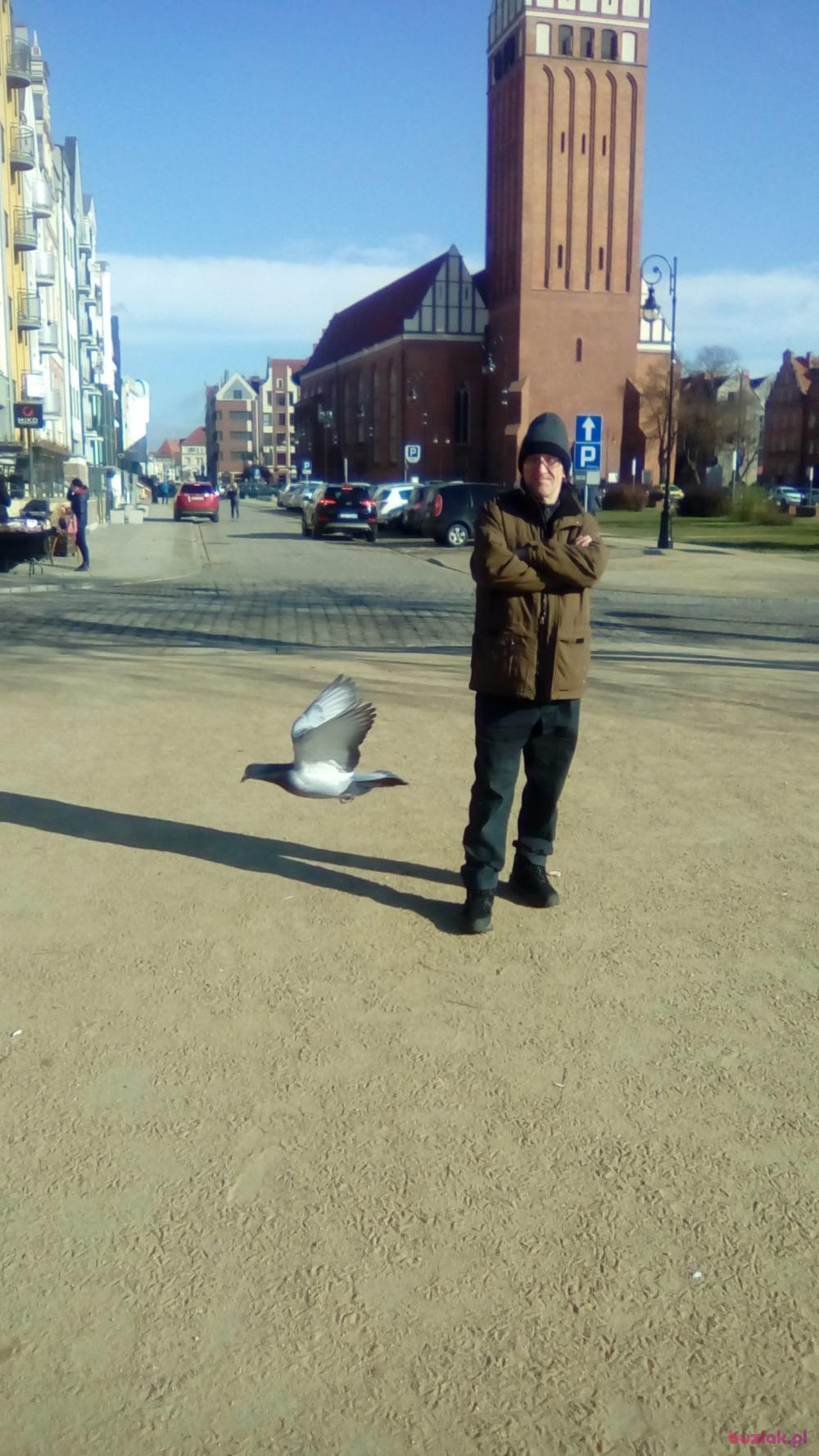Grzegorz , Male, 65, Elbląg, Polska, Photo: 14
