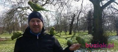 Aureliusz, Male, 49, Westminster, Wielka Brytania, Photo: 14