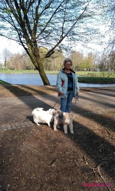 Halina, Kobieta, 65, Brzeg Dolny, Polska, Zdjęcie: 3
