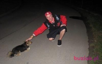 Dominik, Mężczyzna, 43, Camberley, Wielka Brytania, Zdjęcie: 4