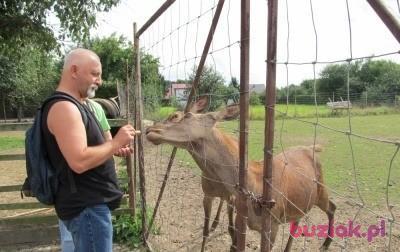 Jerzy, Mężczyzna, 61, Gdańsk, Polska, Zdjęcie: 3