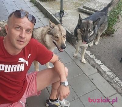 Marcin, Mężczyzna, 40, Neuburg an der Donau, Niemcy, Zdjęcie: 3