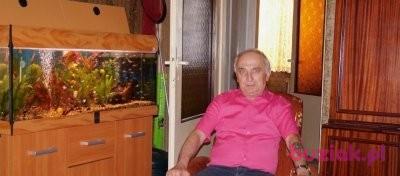 Włodzimierz, Mężczyzna, 75, Częstochowa, Polska, Zdjęcie: 3