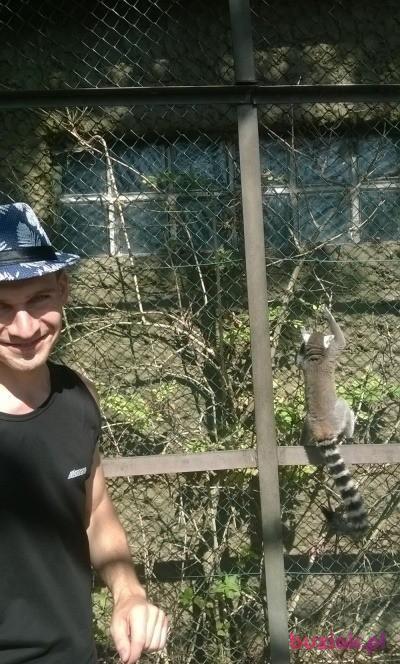 /zapytaj/, Mężczyzna, 38, Gostyń, Polska, Zdjęcie: 2