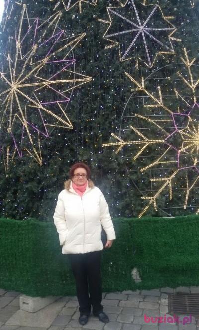 Irena, Kobieta, 72, Polska, Zdjęcie: 6