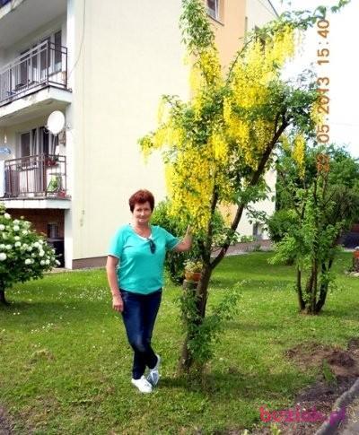 patrycja, Female, 72, Racibórz, Polska, Photo: 1