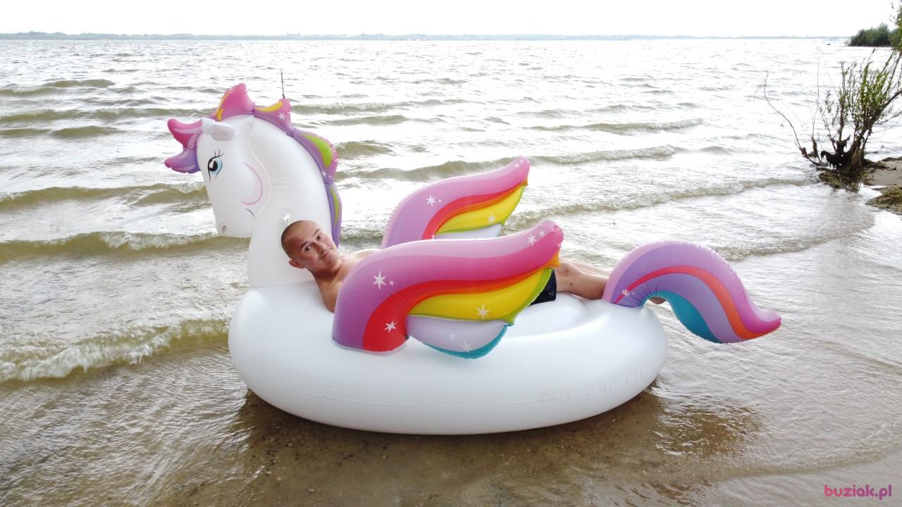 Michał, Male, 37, Zgierz, Polska, Photo: 517