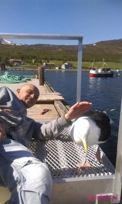 Michał, Mężczyzna, 46, Ostrowiec Swiętokrzyski, Polska, Zdjęcie: 2