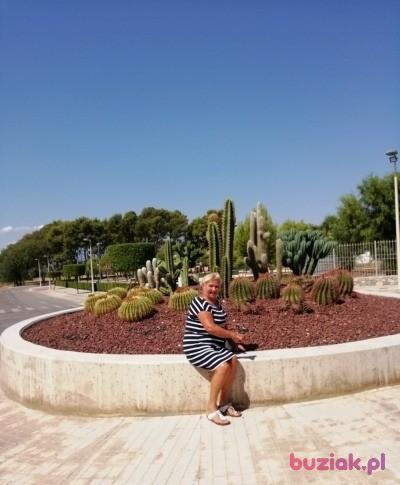 Zofia, Kobieta, 71, Buk, Polska, Zdjęcie: 6
