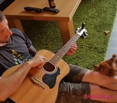 Mirek, Mężczyzna, 38, Holandia, Zdjęcie: 2