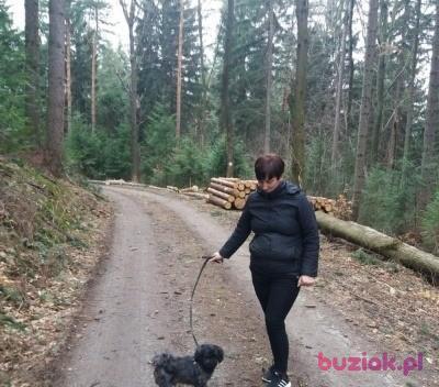 Anna, Kobieta, 52, Polska, Zdjęcie: 6